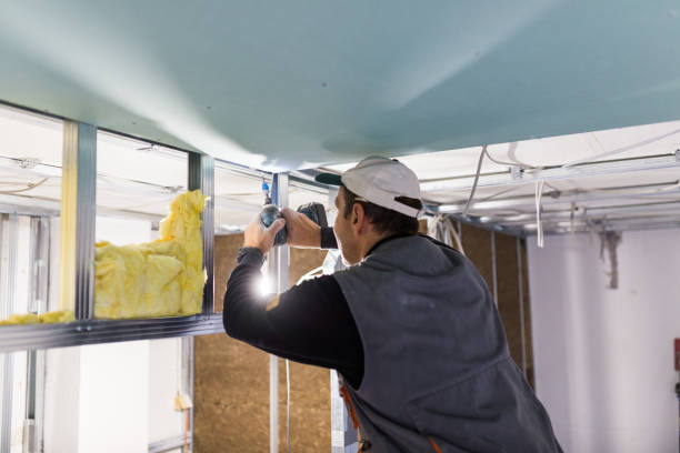 Best DIY Insulation Kits and Guidance in Erie, IL