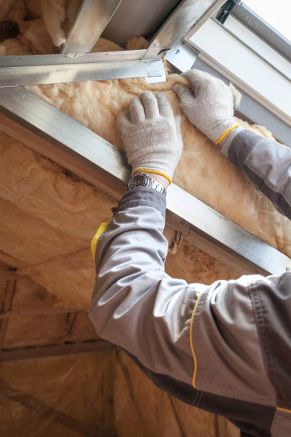 Best Insulation Maintenance and Repair in Erie, IL