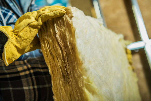 Trusted Erie, IL Insulation Contractor Experts