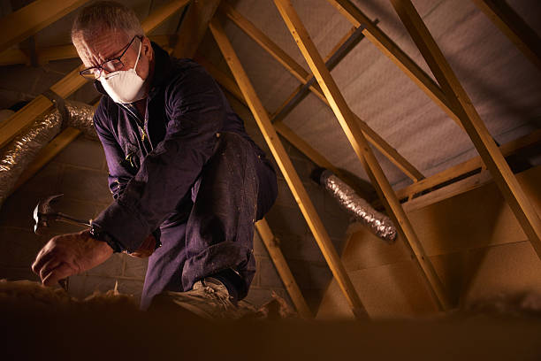 Best Commercial Insulation in Erie, IL