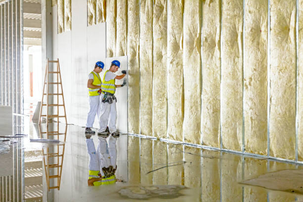 Best Eco-Friendly Insulation in Erie, IL